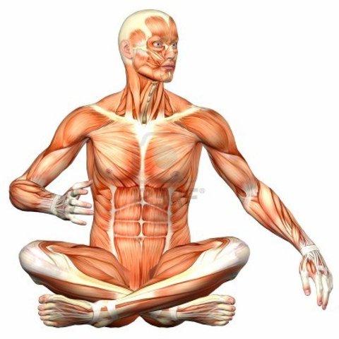 Ideas de Prives y Lisenkov