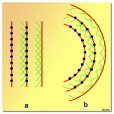 Teoría ondulatoria de la luz
