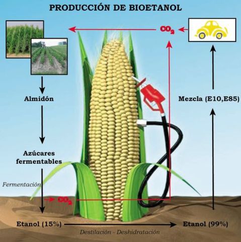 AÑO 2018. AVANCE DE LAS ENERGIAS RENOVABLES.