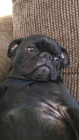 I had my first child