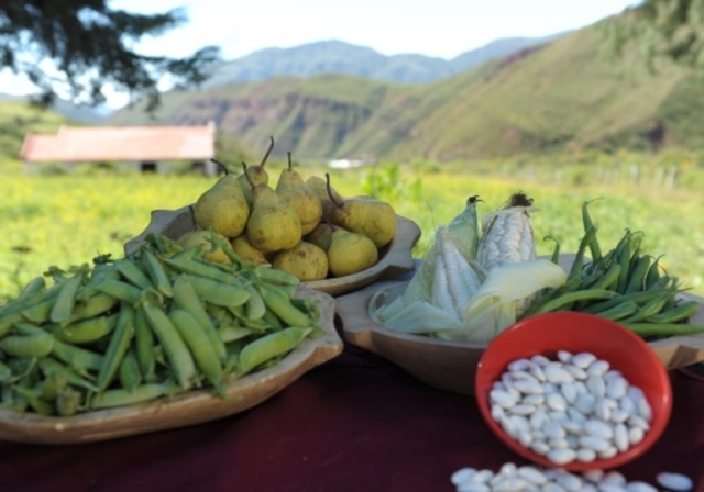 OBJETIVOS (Fernández)