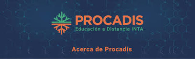 ORIGEN DEL PROCADIS. (Eyharabide)