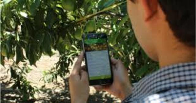 ESTRATEGIA ORGANIZACIONAL (Piroto)