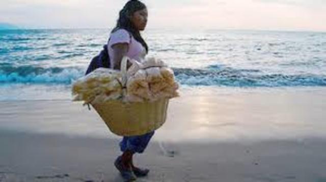 Decreto 1396 “Se crea la Comisión de Derechos Humanos de los Pueblos Indígenas y se crea el programa especial de atención a los Pueblos Indígenas.”