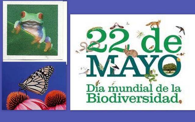 Día internacional de la diversidad biológica