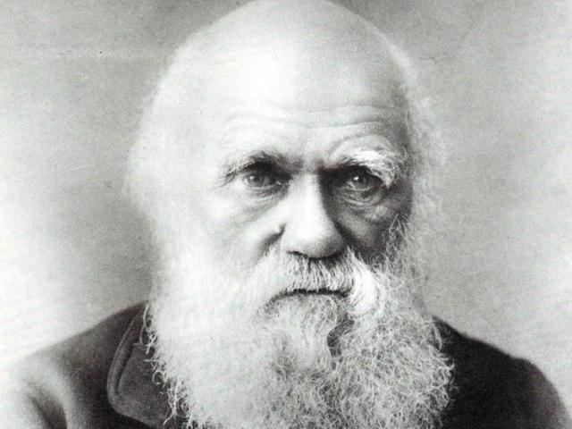 Darwin 5.XIX