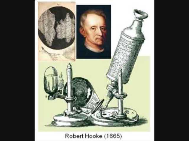 Robert Hooke