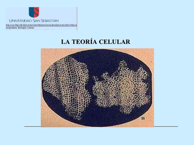 Matthias Jakob Schleiden