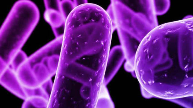 Resurgimiento del Cólera