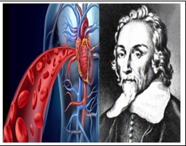 CIRCULACIÓN SANGUÍNEA