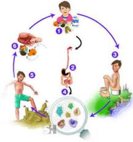 Se implementa el PRONACED en México