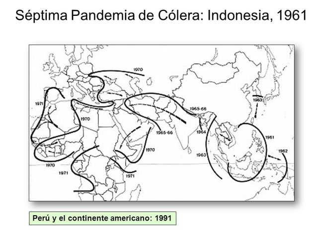 Séptima pandemia de Cólera