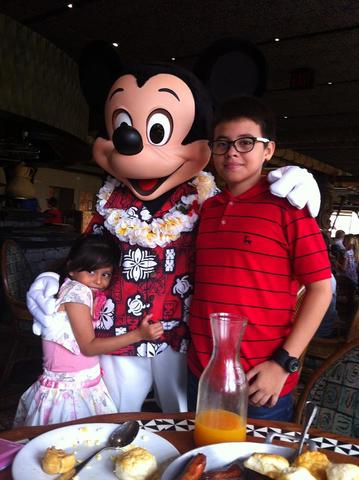 The great American Soil