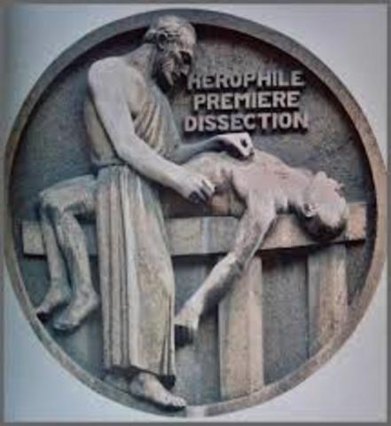 Herófilo de Calcedonia