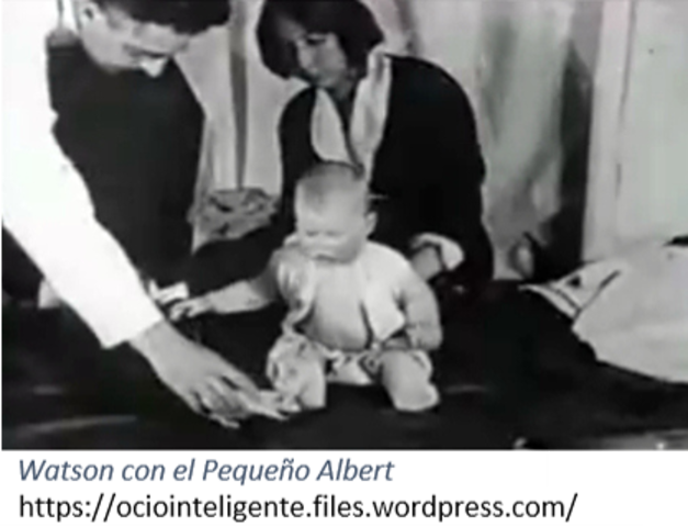 Postura de Watson: segundo principio metodológico