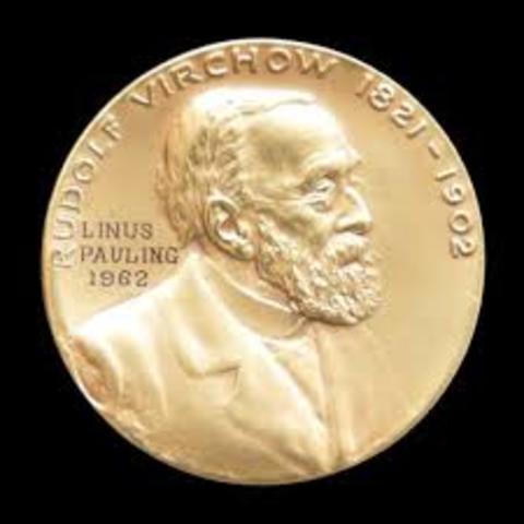 Rudolf Virchow - Revolucion Medicina Social