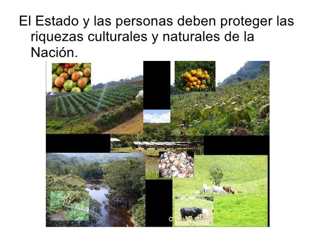 Protección de las riquezas