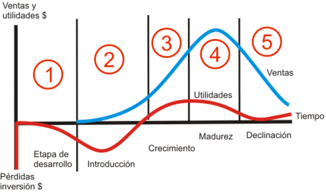 Ciclo de vida del producto