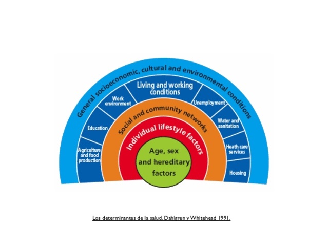 Dahlgren y Whitehead.