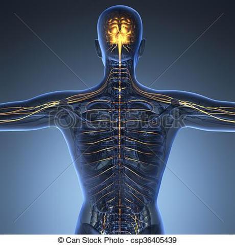 Renacimiento y Barroco