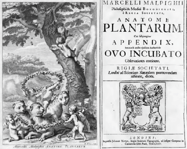 Marcello Malpighi, publica "Anatome Plantarum"