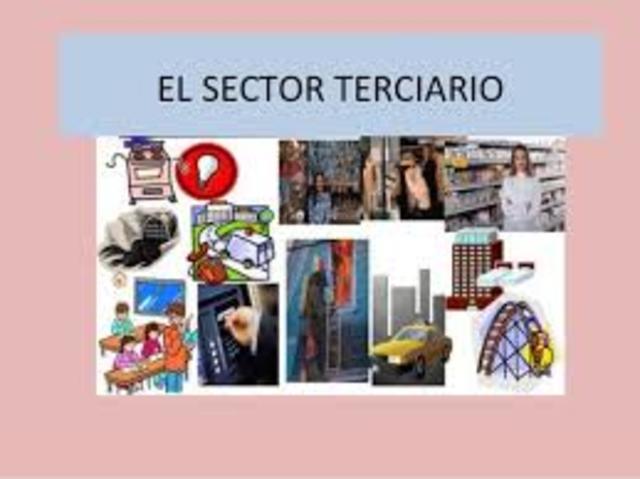 Sector terciario más importantes