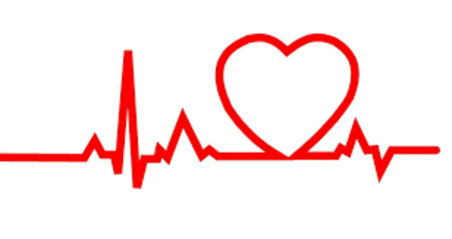 LA CIRCULACIÓN DE LA SANGRE