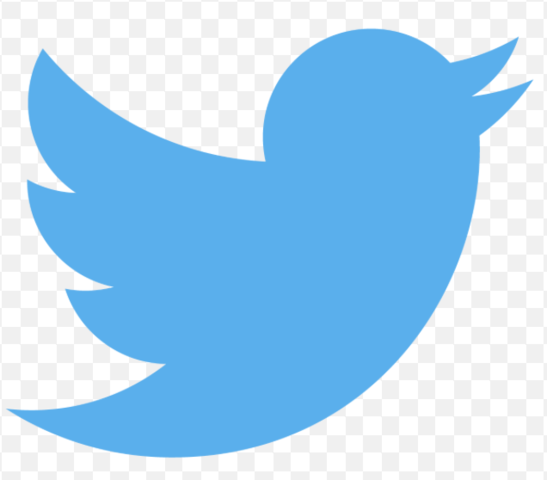 scrolling through Twitter (throughout the day)