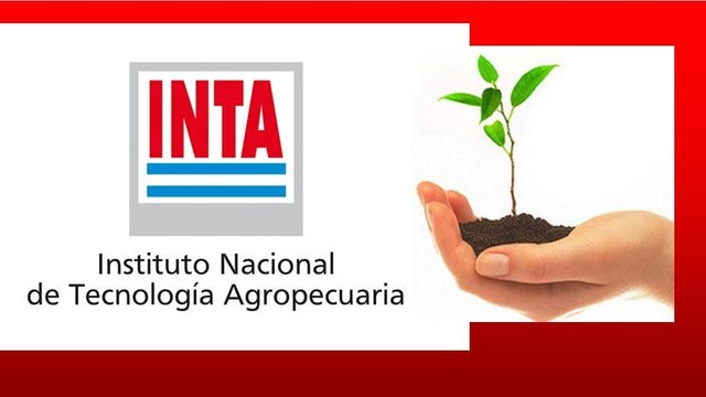 PAZOS- DESARROLLO DE CURSOS DE FORMACION AGROPECUARIA DEL INTA