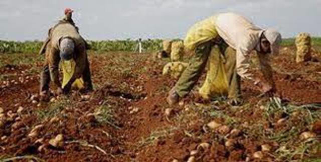 Naturalista Georges Bufón