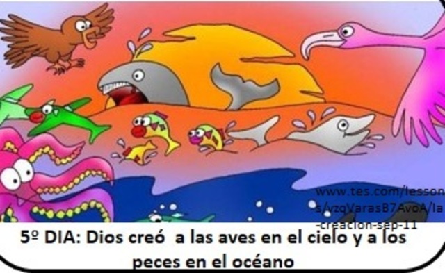 DÍA 5 GÉNESIS 1 Versículo 20-23