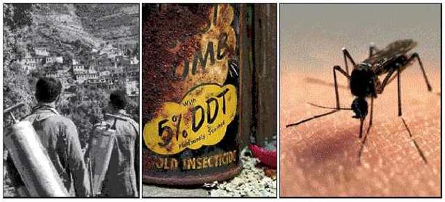 USO DE DDT