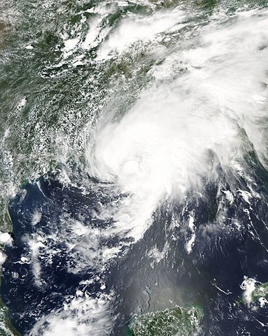 TORMENTA TROPICAL BILL