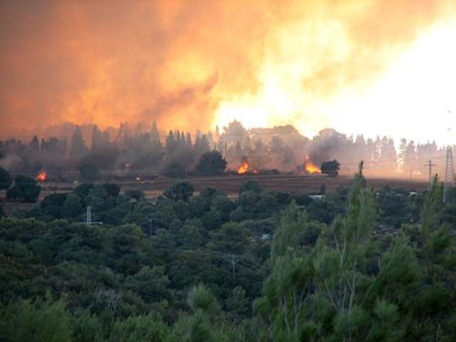INCENDIO FORESTAL EN ISRAEL
