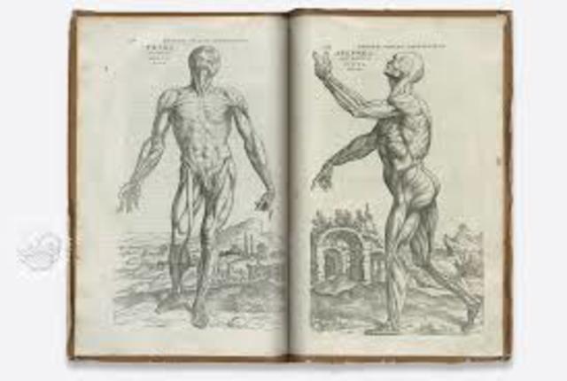 Andreas Vesalius (1514-1564).
