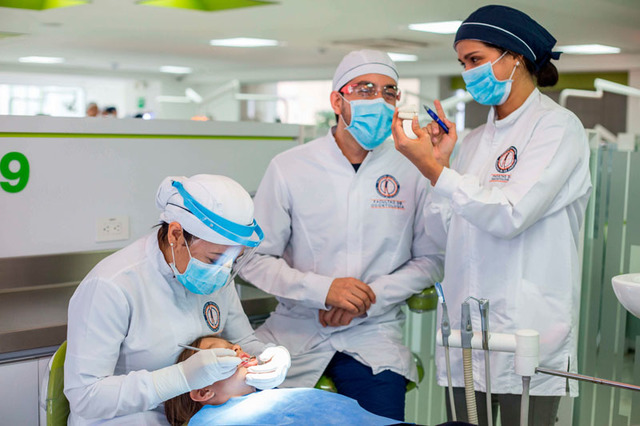 Constitución de programas