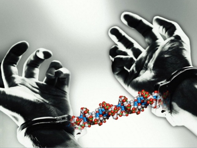 Nuevos programas incorporados