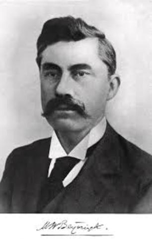 ENFERMEDAD DEL MOSAICO