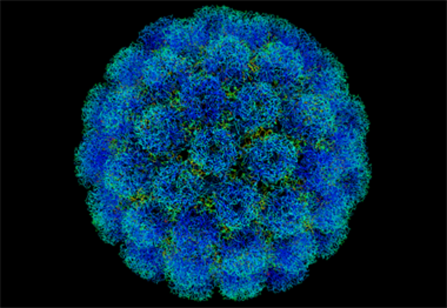 VIRUS DE POLIO