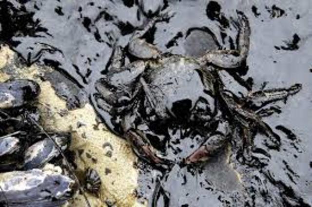 California Oil Spill