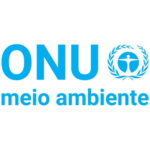 La Asamblea General de las Naciones Unidas