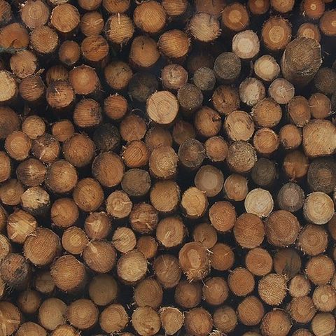 Acuerdo sobre las Madres Tropicales