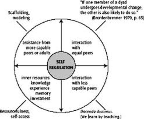 Donato - Collective Scaffolding