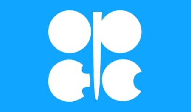 Perdidas de La Organización de países exportadores de petróleo (OPEP)