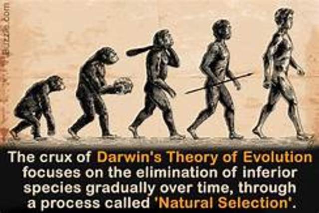Theory of Evolution