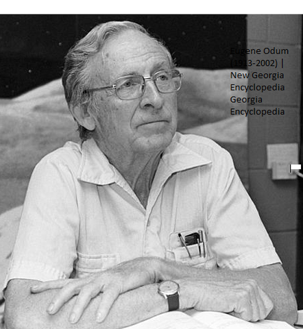 DEFINICIÓN DEL CONCEPTO