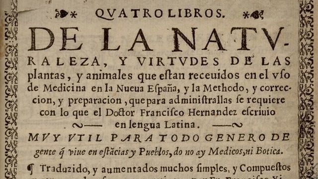 Francisco Hernández