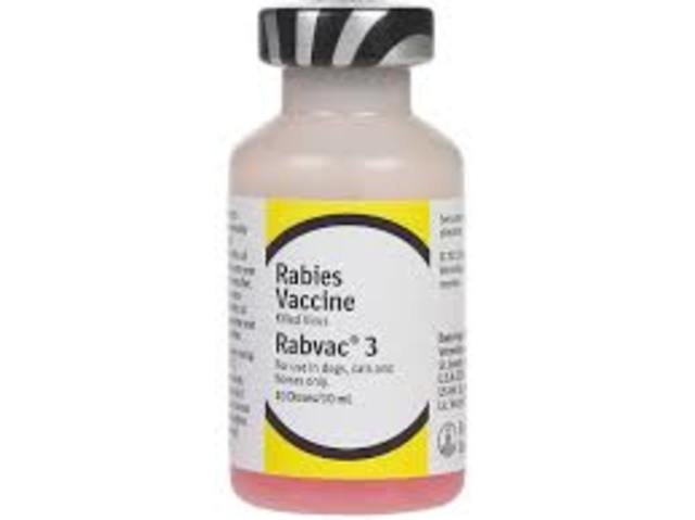 Rabies Vaccine