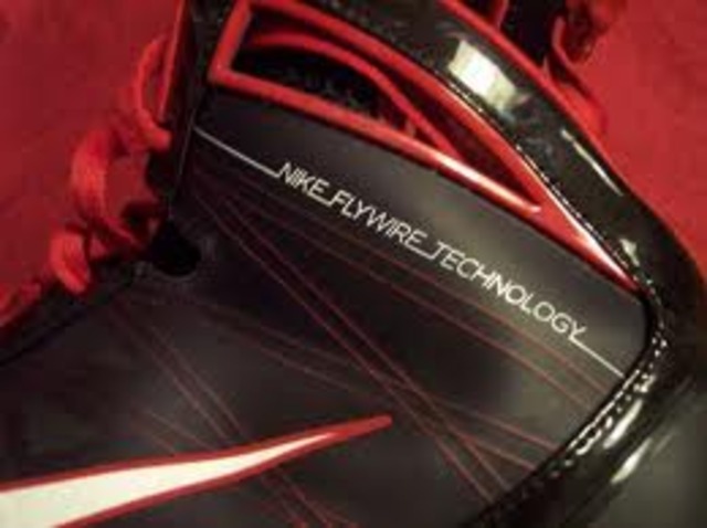 Flywire is Introduced