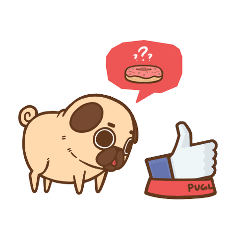 I went to my first kindergarten